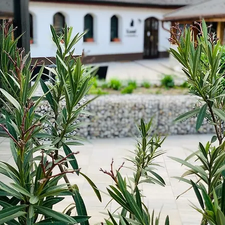 Guest house Kostel Panzio Kesztolc